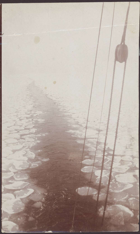 View of floating ice from the Aurora, c. 1911-14. Sir Douglas Mawson collection of Antarctic photographs, National Library of Australia